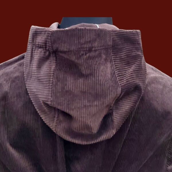 Men Punjabi Hoodie